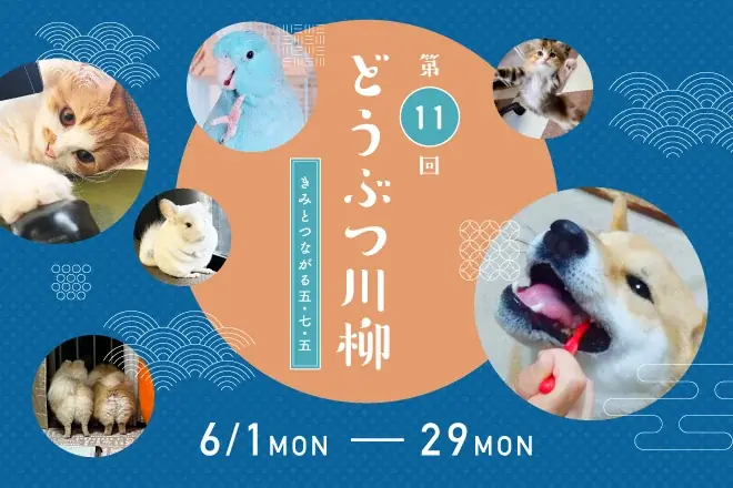 アニコム損保の第十一回「どうぶつ川柳」作品募集を開始 画像 1