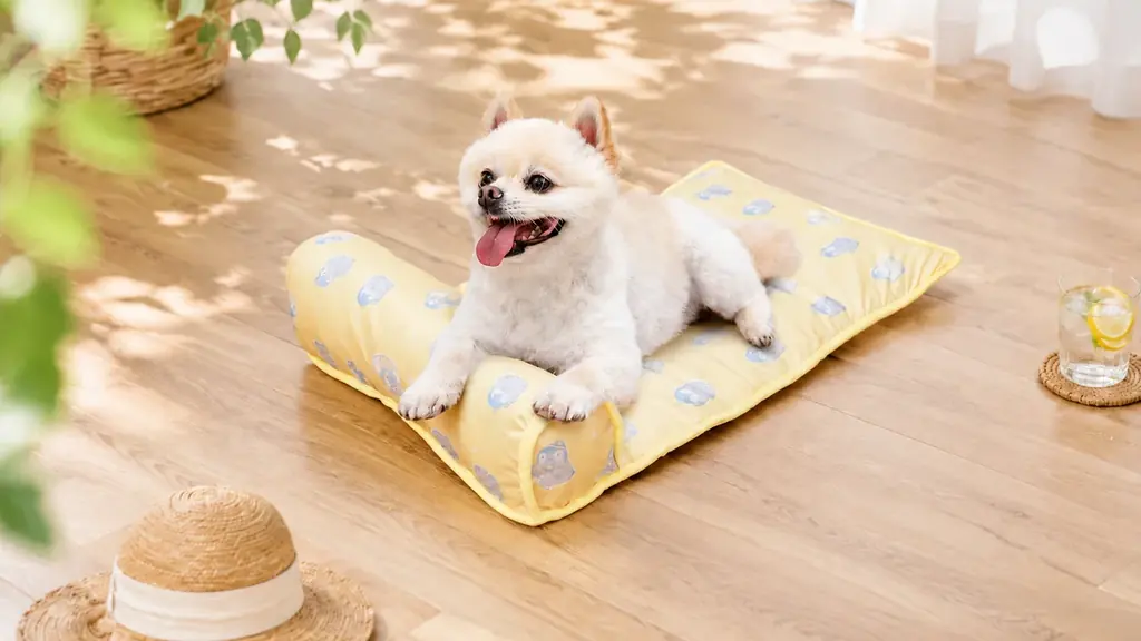 あごのせ涼眠マット新色レモンイエロー登場、2,480円〜