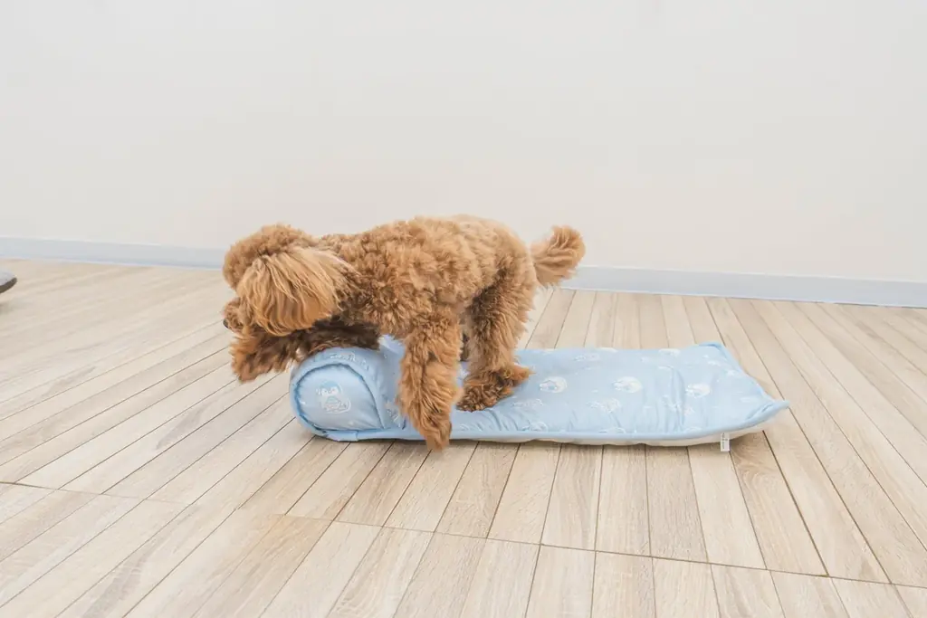 「冷たくて心地良い」と愛犬も大満足のレビュー4.45を獲得したペットマットに新色登場、あごのせパッド付きで夏の快適な居場所を叶える2,480円からの冷感マット「あごのせ涼眠マット」 画像 5