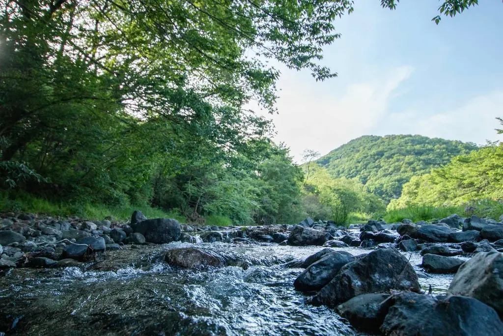 清流と里山に囲まれたCOMORIVER（コモリバ）で楽しむ自然の「ホタル観賞」。出現場所を示すホタルマップの共有で、観賞チャンスアップ 画像 2