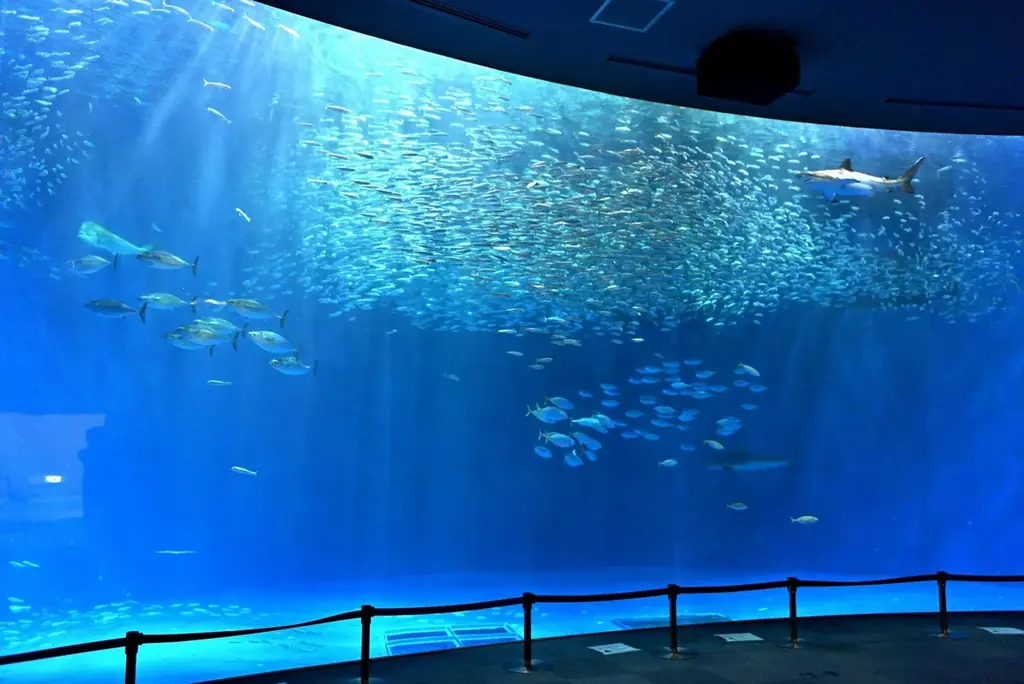 【名古屋】幻想的な“青の世界”に癒される！名古屋港水族館チケット付きプラン『STRINGS AQUA ROOM』 画像 7