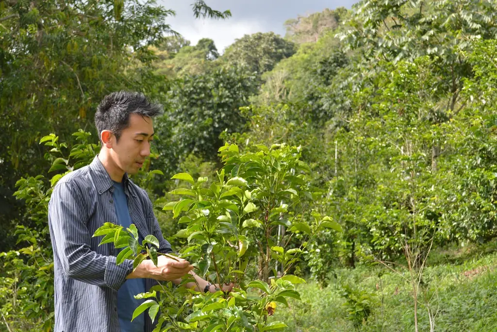 11周年を迎えた【Scrop COFFEE ROASTERS】から、好評販売中の周年記念コーヒー「 ITADAKI（イタダキ）ゲイシャ」を10倍美味しく味わうための『案内状』を公開 画像 6