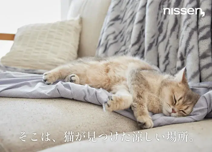 夏でも毛布派、大歓喜！！「一年中モフモフしたい」というSNSの声から誕生した、大人気『猫Feel』待望の新作、夏専用毛布が登場！ 画像 2