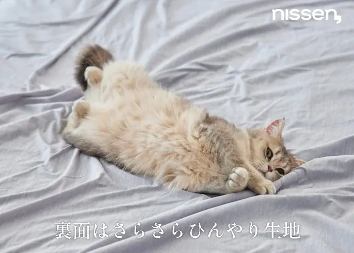 夏でも毛布派、大歓喜！！「一年中モフモフしたい」というSNSの声から誕生した、大人気『猫Feel』待望の新作、夏専用毛布が登場！ 画像 4