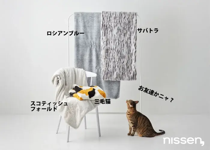 夏でも毛布派、大歓喜！！「一年中モフモフしたい」というSNSの声から誕生した、大人気『猫Feel』待望の新作、夏専用毛布が登場！ 画像 6