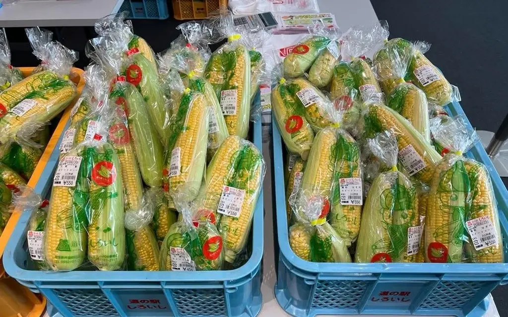 【今年は事前予約制！】6月2０日（土曜日）九州佐賀国際空港で朝採れスイートコーンを販売！ 画像 3