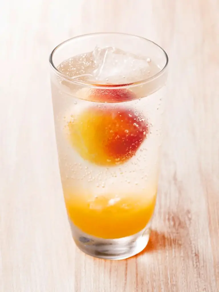 紀州産の完熟南高梅を使用したかき氷やチーズケーキに梅酒カクテル！梅のシーズンを満喫できるポップアップストア「The CHOYA GARDEN 2026」を梅酒の日の6月11日より開催！ 画像 8