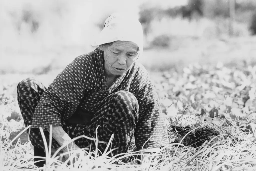 【Asian Film Joint 2026】7/15(水)-25(土)に開催決定。第4回目のテーマは「私たちは覚えている」。日本初公開作品を含むアジアの新旧映画を計16本上映。 画像 11