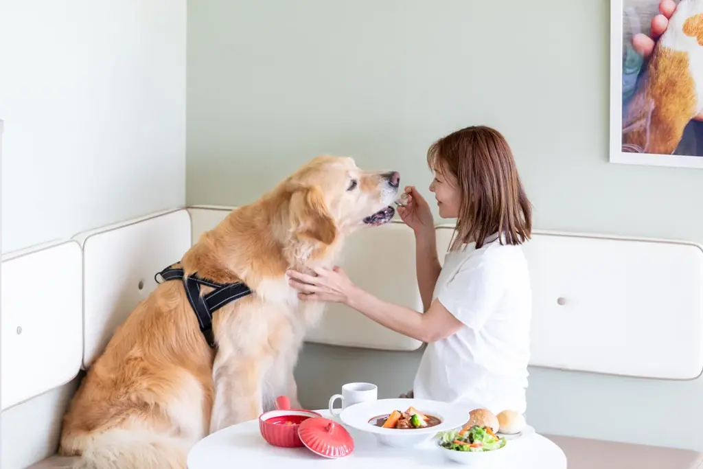 【長野県須坂市】SNSでも話題の「例の看板」がやってくる！『松田ペット×DOG CAFE わんぴーす コラボDAYS』開催 画像 11