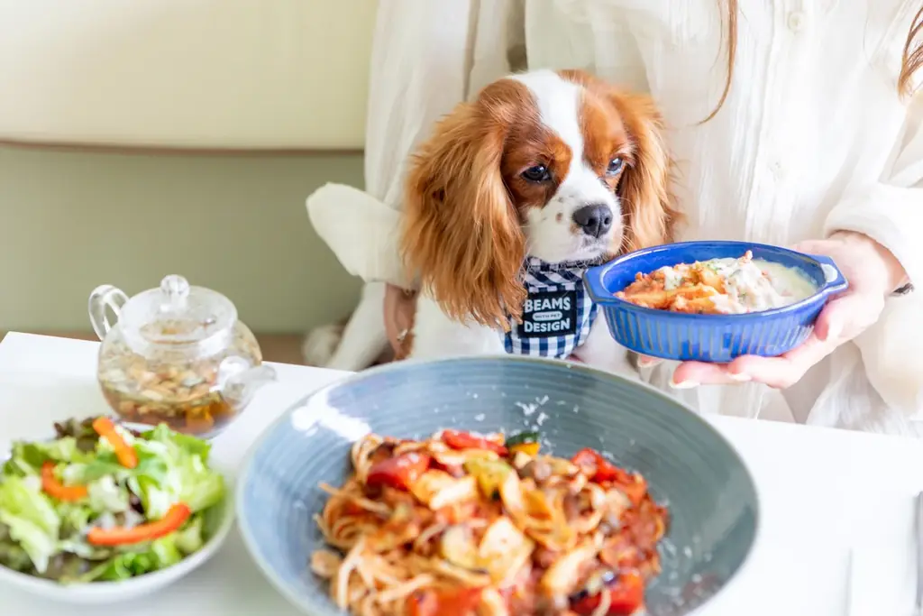 【長野県須坂市】SNSでも話題の「例の看板」がやってくる！『松田ペット×DOG CAFE わんぴーす コラボDAYS』開催 画像 14