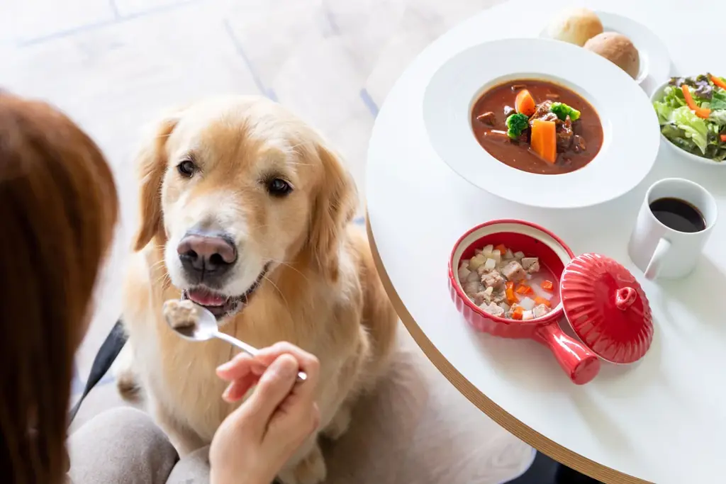 【長野県須坂市】SNSでも話題の「例の看板」がやってくる！『松田ペット×DOG CAFE わんぴーす コラボDAYS』開催 画像 4