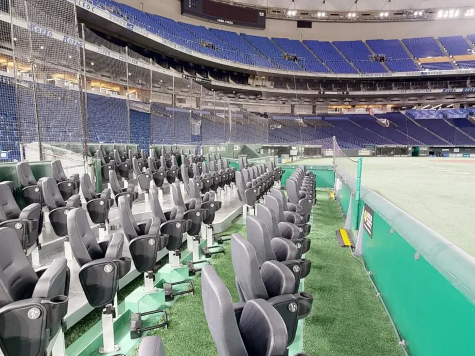 新3地区制で生まれ変わったプロ野球二軍公式戦！『ファーム・リーグ 2026 in TOKYO DOME』開催 画像 2