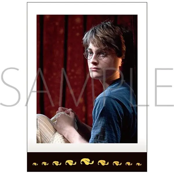 『Harry Potter』『Fantastic Beasts』より新商品が登場！ 画像 13