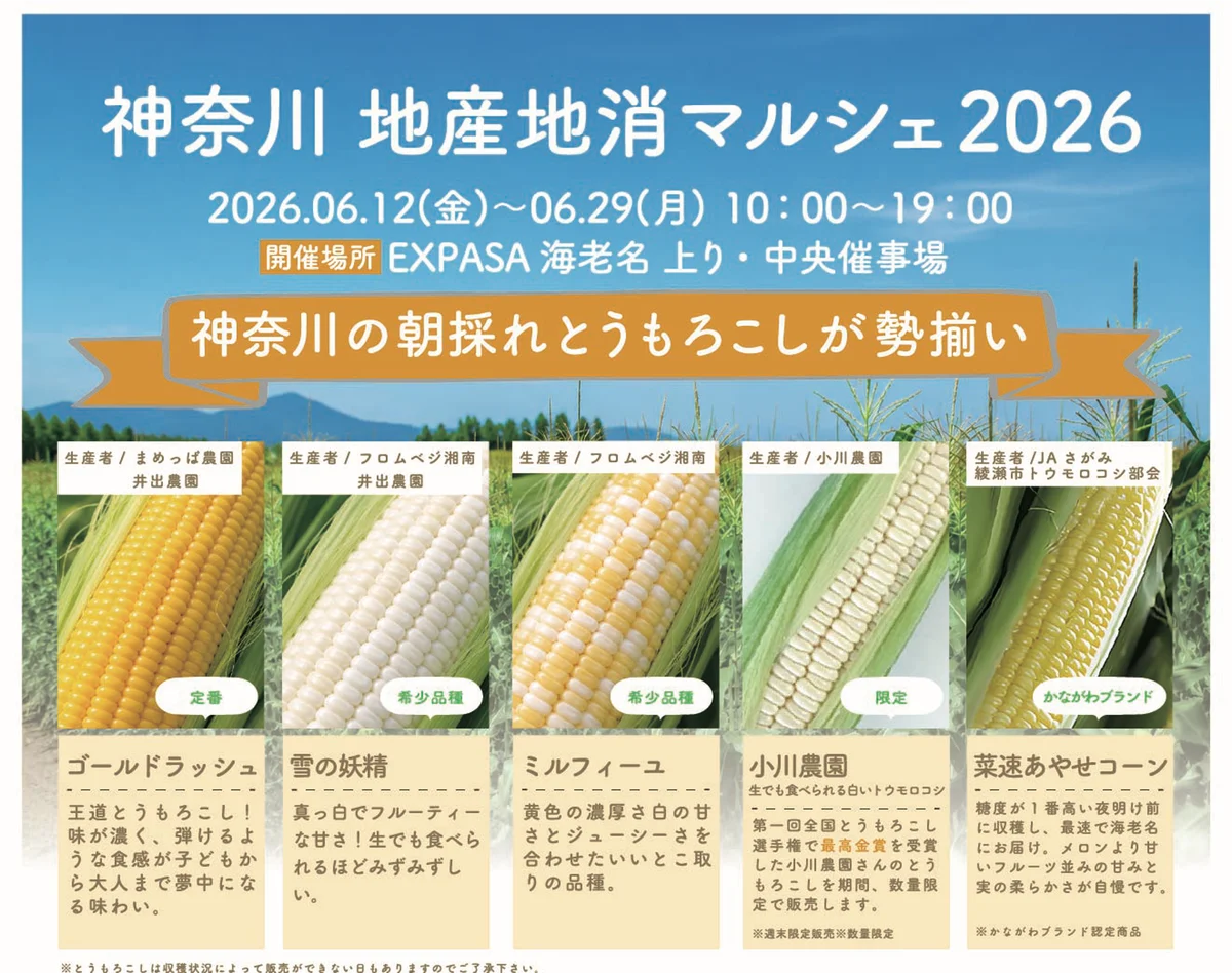 神奈川の“トウモロコシ”が“海老名”に集まる「神奈川 地産地消マルシェ 2026」開催〜神奈川の朝採れトウモロコシの甘さ、トウモロコシスイーツが楽しめる〜 画像 1