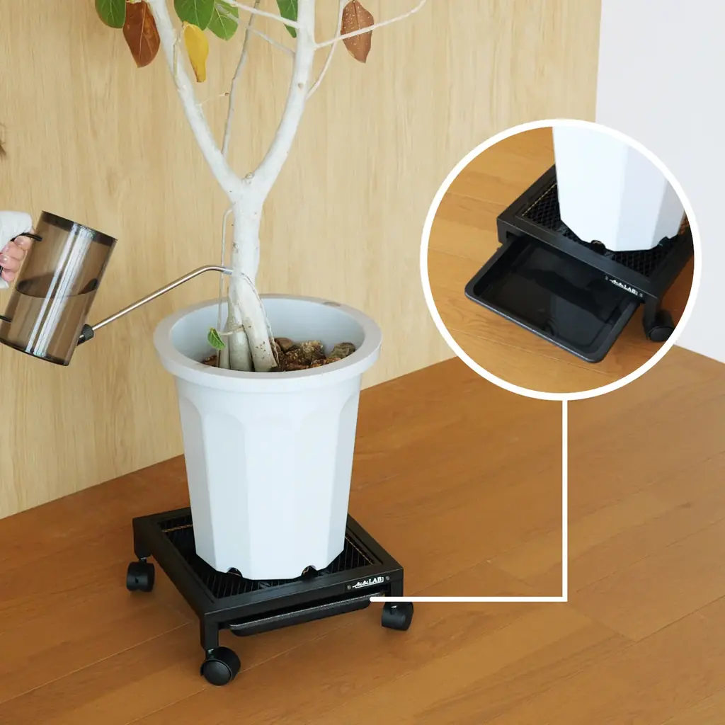 大きい観葉植物の重たい鉢、もう持ち上げなくていいんです。そのまま水やりできるキャスター付きプランタースタンド発売。 画像 4