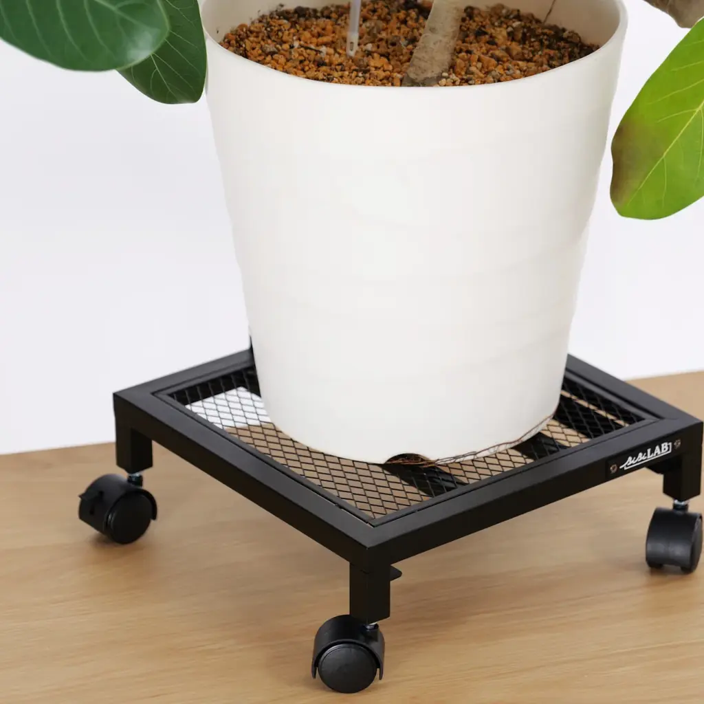 大きい観葉植物の重たい鉢、もう持ち上げなくていいんです。そのまま水やりできるキャスター付きプランタースタンド発売。 画像 7