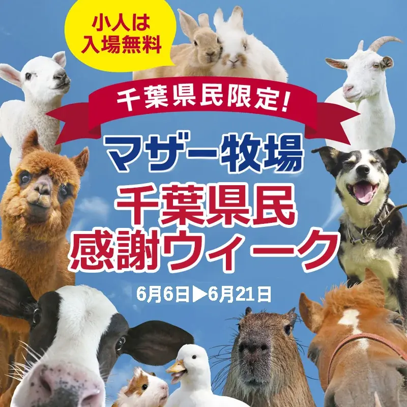 千葉県民感謝ウィーク
