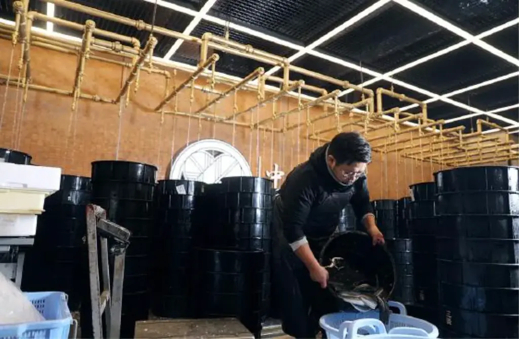 本日2026年6月5日（金）オープン！昭和7年創業、老舗鰻卸問屋が営む「うなぎ四代目菊川」が名古屋に「もうひとつの本店」を開業。7月には大阪・淀屋橋ゲートタワーにも出店。 画像 9