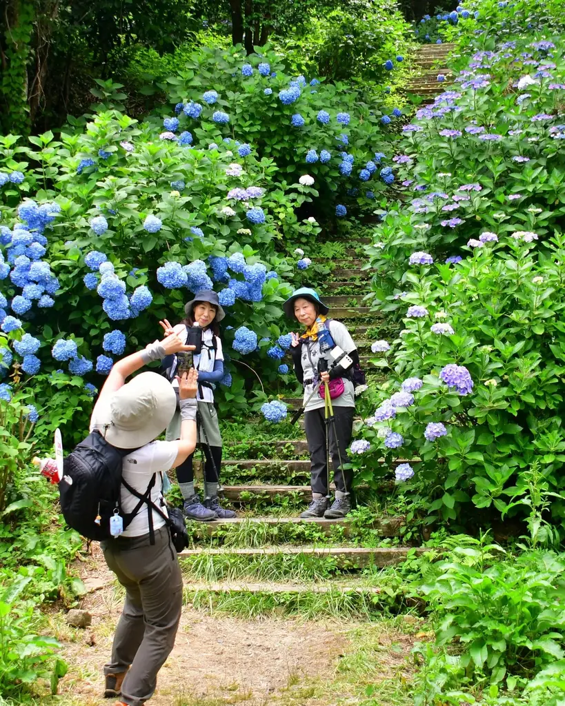【関西屈指】山道を彩る、初夏の絶景 ー 生駒山・ぬかた園地「あじさい園」が6月下旬から見ごろに“自然×涼体験”を楽しむ観光へ ー 画像 2