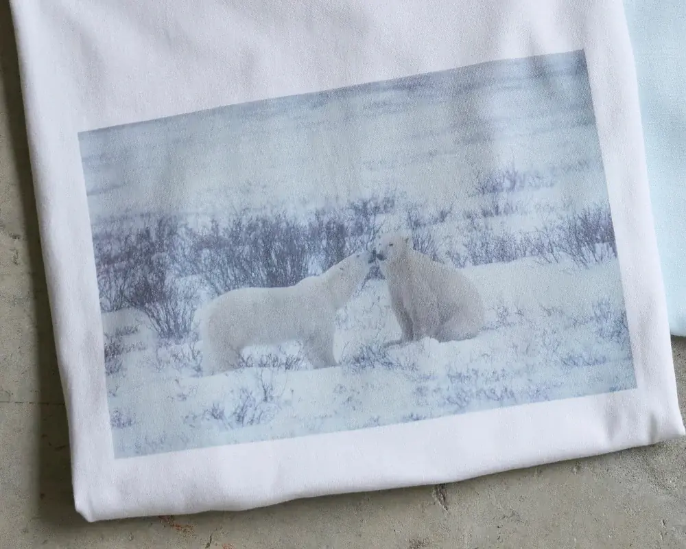 Golden Bear meets Takayuki MAEKAWA　動物写真家・前川貴行氏とのコラボレーションTシャツを発売 画像 2