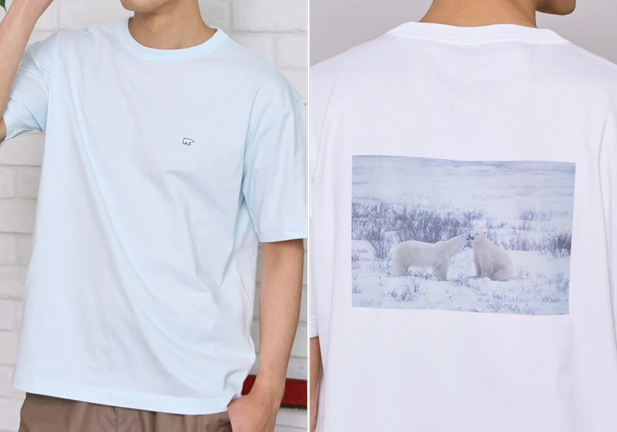 Golden Bear meets Takayuki MAEKAWA　動物写真家・前川貴行氏とのコラボレーションTシャツを発売 画像 3