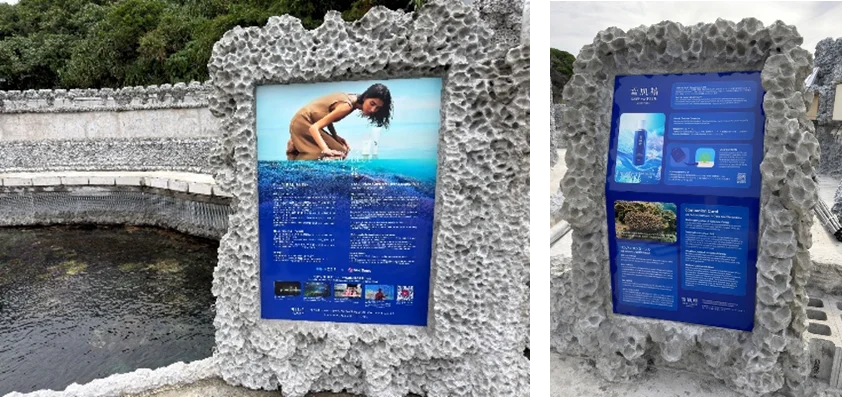 18年目を迎える雪肌精「SAVE the BLUE Ocean Project」を7月1日から開始 画像 4