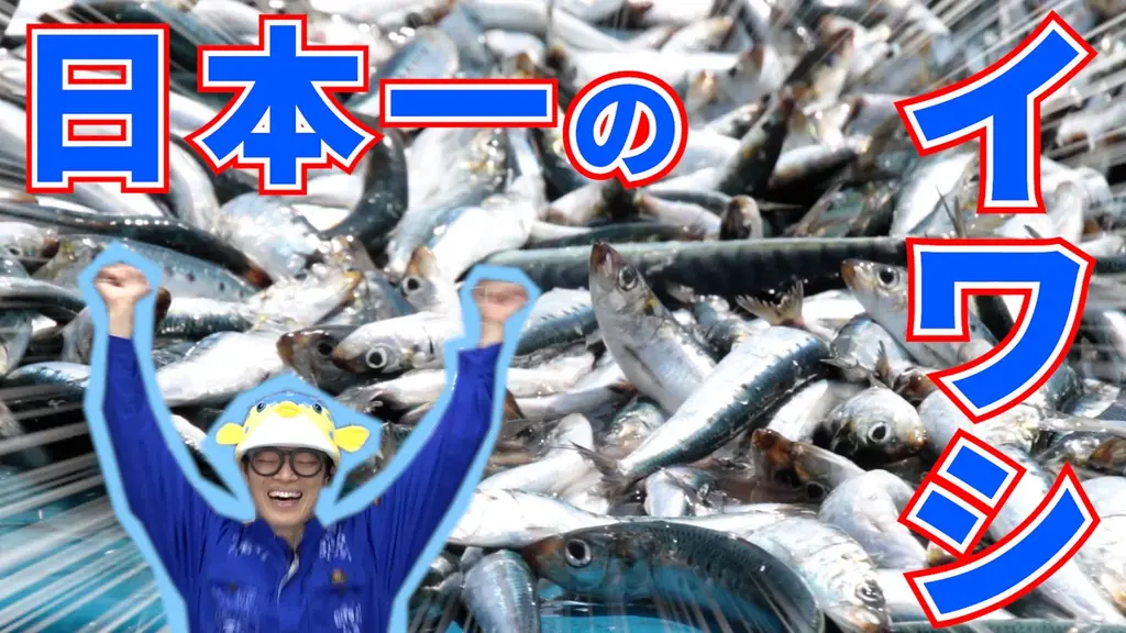 いわしスナック発売