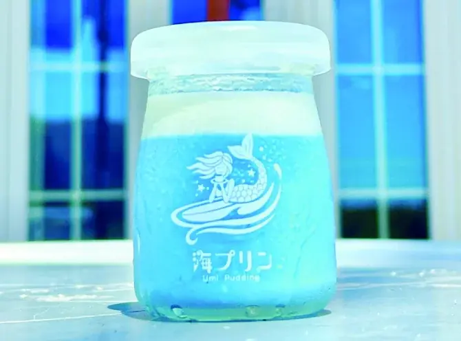 三井アウトレットパーク 木更津で開催　　　　　　　　　　　　　　　　プリンから限定プリンまで人気プリン店舗が大集結　　　　　　　　王道「プリンフェス」開催 画像 13