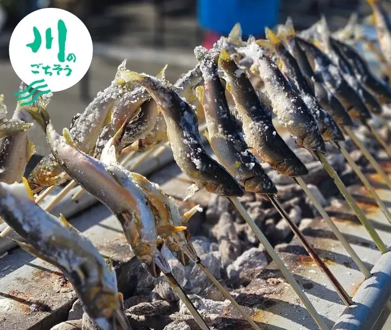 【阪神梅田本店】高知県のごちそうが集結！食とお酒と人の魅力に“どっぷり”浸る6日間 画像 8