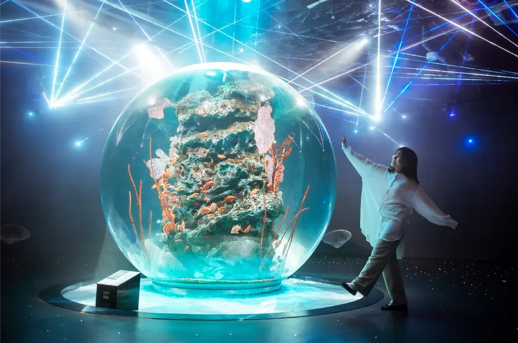 AQUARIUM×ART átoa × 神戸市立博物館『トーベとムーミン展～とっておきのものを探しに～』芸術と物語の世界を巡るお得なセット券を販売します！ 画像 4