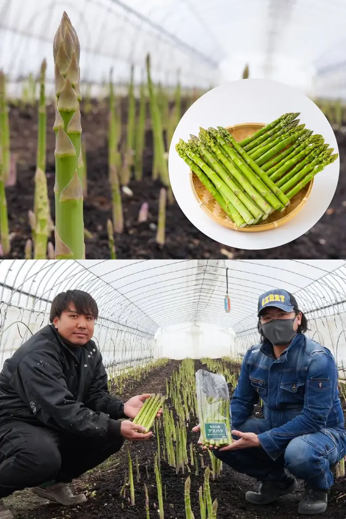 北海道が全国に誇る生産量No.1アイテムに注目！！大丸札幌店で『ディスカバリー北海道2026』開催！ 画像 2