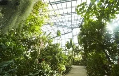 【阪急うめだ本店】「阪急 植物博覧会」6月24日(水)より初開催！国内屈指の10店舗や、熱帯植物界のツートップによるスペシャルトークショーも 画像 11