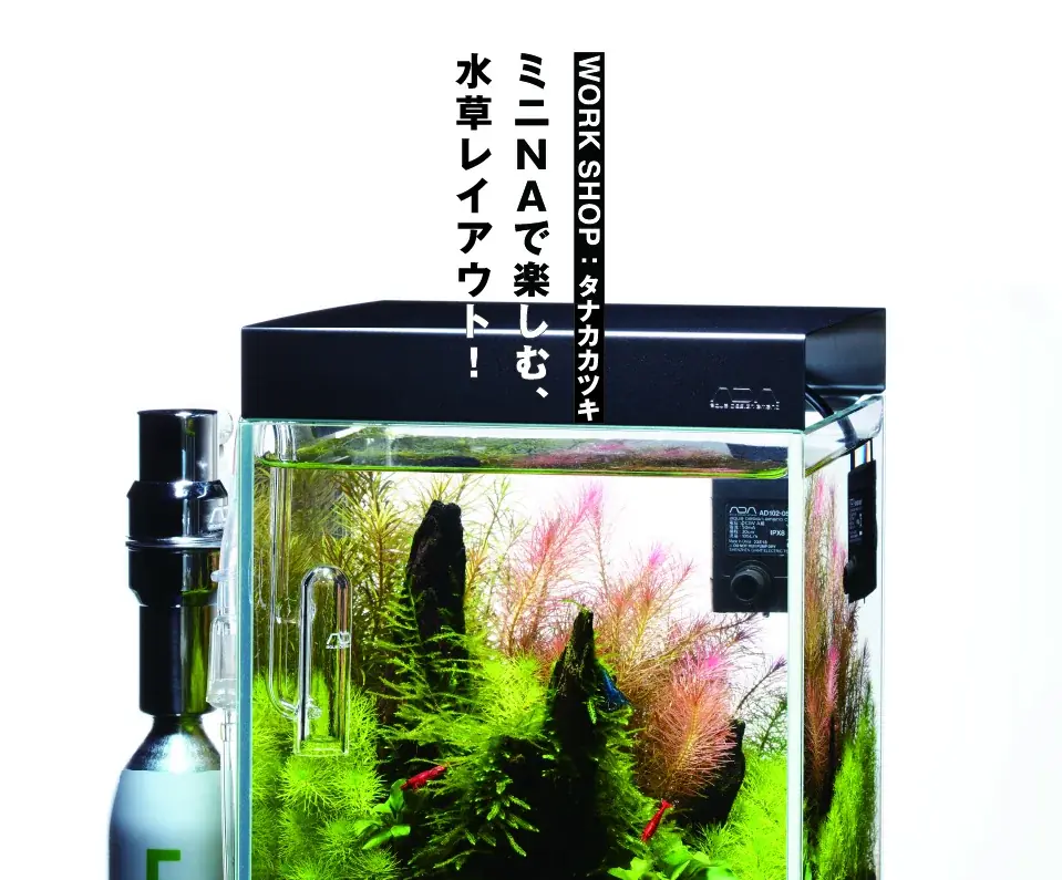 【阪急うめだ本店】「阪急 植物博覧会」6月24日(水)より初開催！国内屈指の10店舗や、熱帯植物界のツートップによるスペシャルトークショーも 画像 17