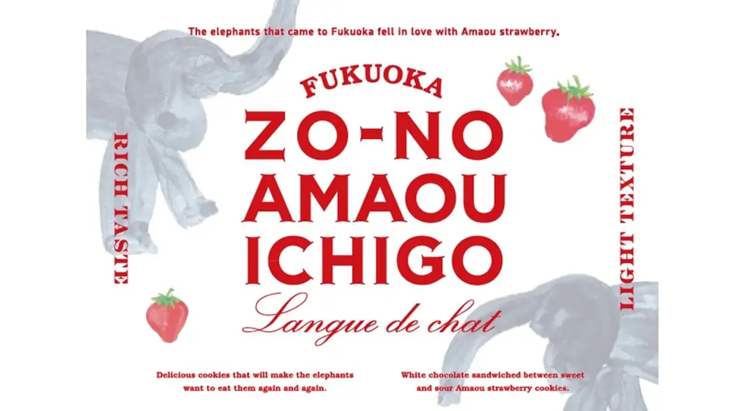 新しい福岡土産誕生！あまおういちごのラングドシャ「ぞうのあまおういちご」発売 画像 5
