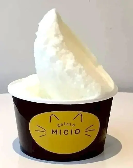 ジェラートの名店”リビスコ”×”相鉄グループ”の共同プロジェクト。地産地消ジェラート店『MICIO（ミーチョ）』が6月27日、鎌倉にグランドオープン！ 画像 3