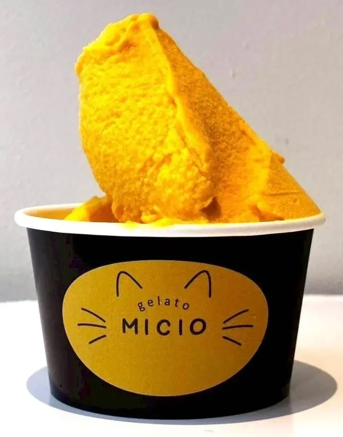 ジェラートの名店”リビスコ”×”相鉄グループ”の共同プロジェクト。地産地消ジェラート店『MICIO（ミーチョ）』が6月27日、鎌倉にグランドオープン！ 画像 4