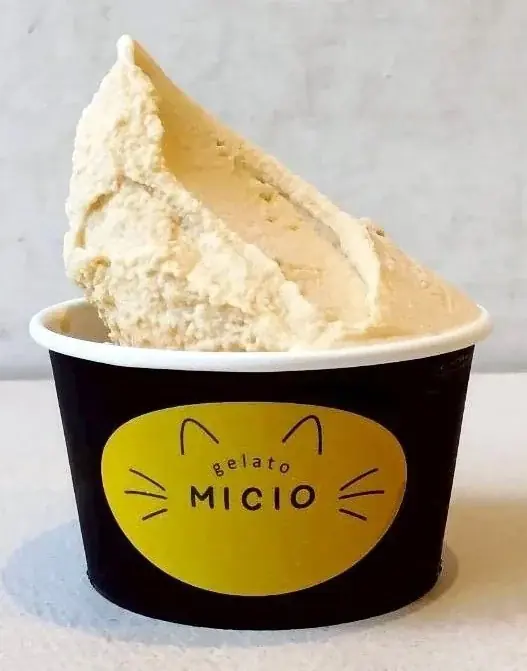 ジェラートの名店”リビスコ”×”相鉄グループ”の共同プロジェクト。地産地消ジェラート店『MICIO（ミーチョ）』が6月27日、鎌倉にグランドオープン！ 画像 5