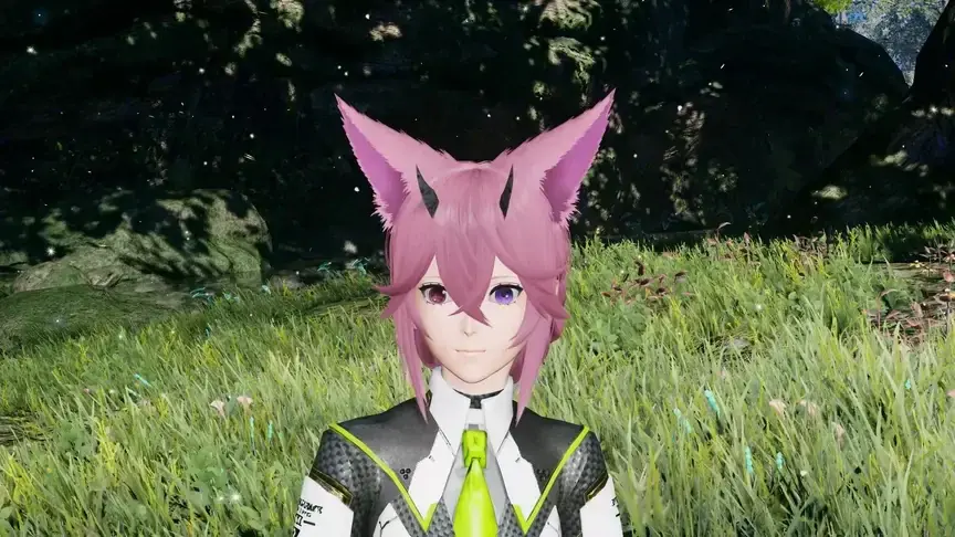 『PSO2 ニュージェネシス ver.2』期間限定緊急クエスト「アークス戦技祭！」追加！ 画像 10