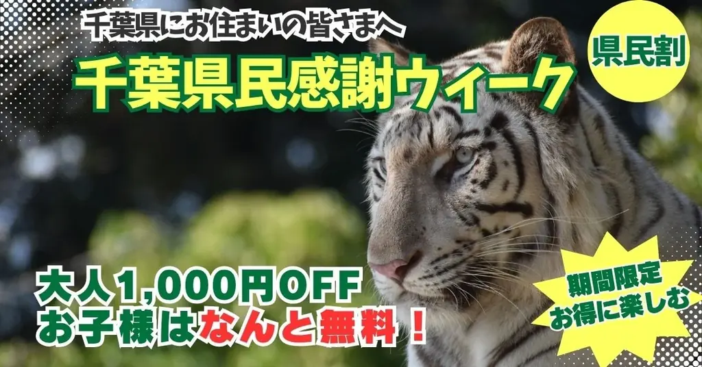 千葉県民限定！県民の日を彩る特別な1週間（千葉県民割） 画像 1