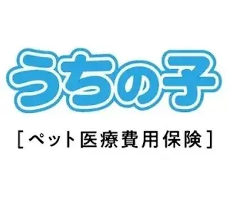 【ペット保険 人気ランキング】2026年6月TOP5を発表！｜ペット保険比較のピクシー 画像 4