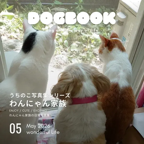 うちのこグッズは「飾る」から「つなぐ」へ―国会図書館に納本できるオーダーメイド写真集がシリーズ15冊目を突破 画像 8