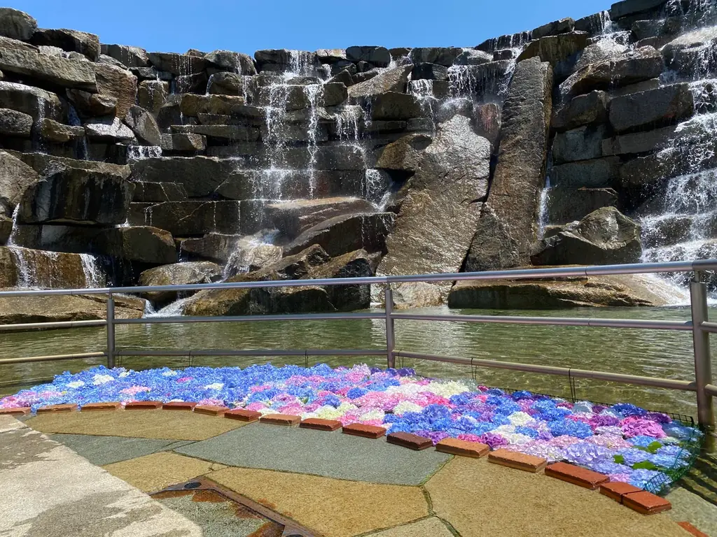 昇竜の滝で初開催　あじさいフローティング展示