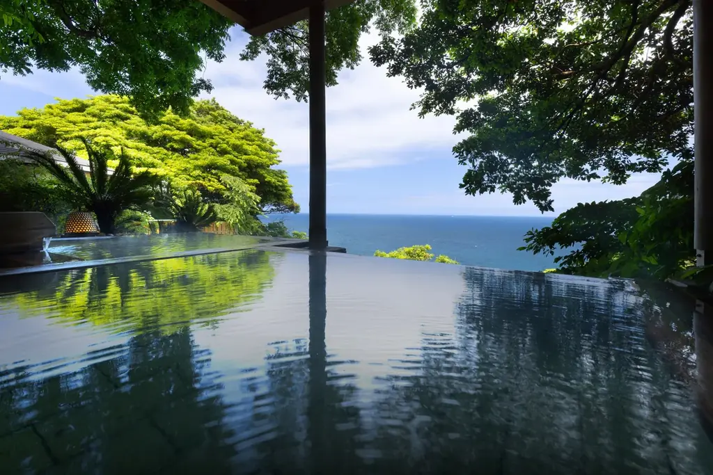 浜松うな重付き夏プラン