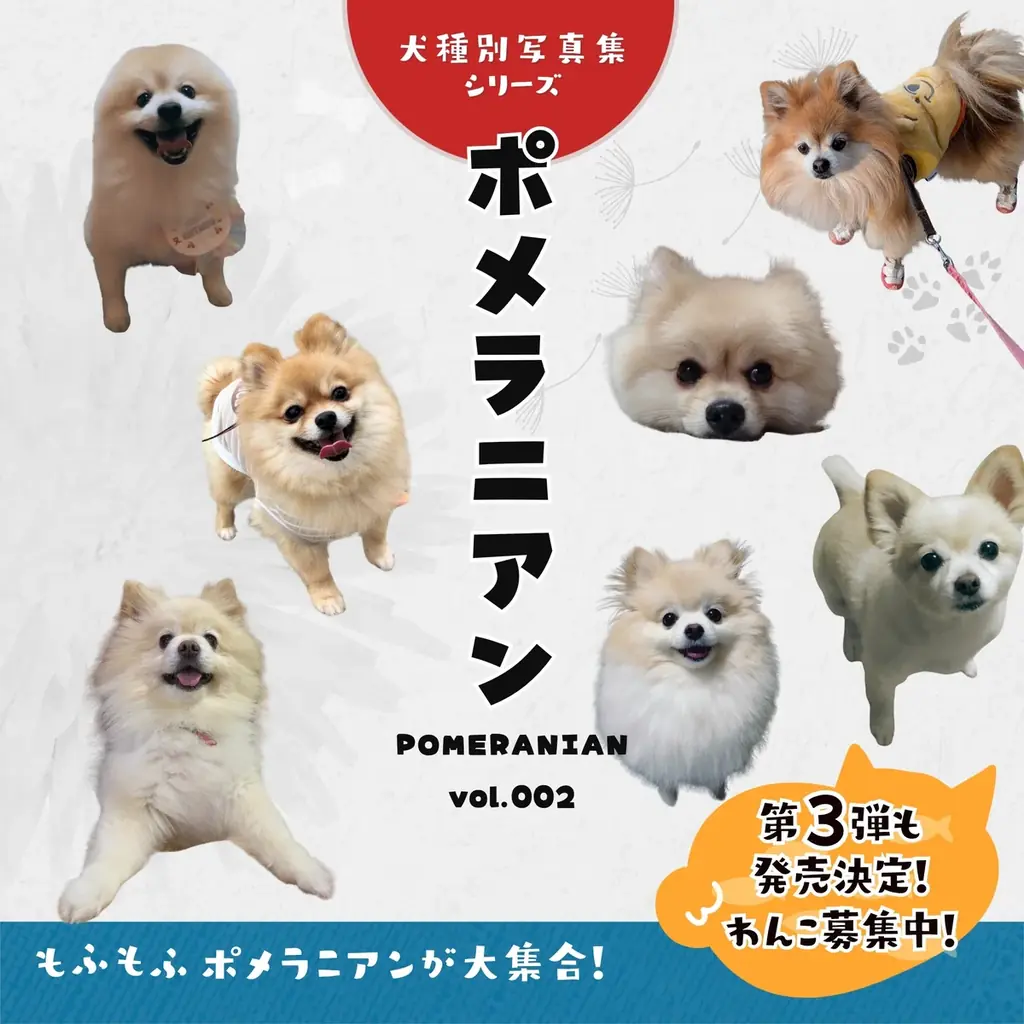 【期間限定】電子書籍版が無料で読める！ポメラニアンだらけ写真集（犬種別写真集シリーズ第3弾「ポメラニアンvol.002」）がKindleで期間限定の無料配信 画像 1