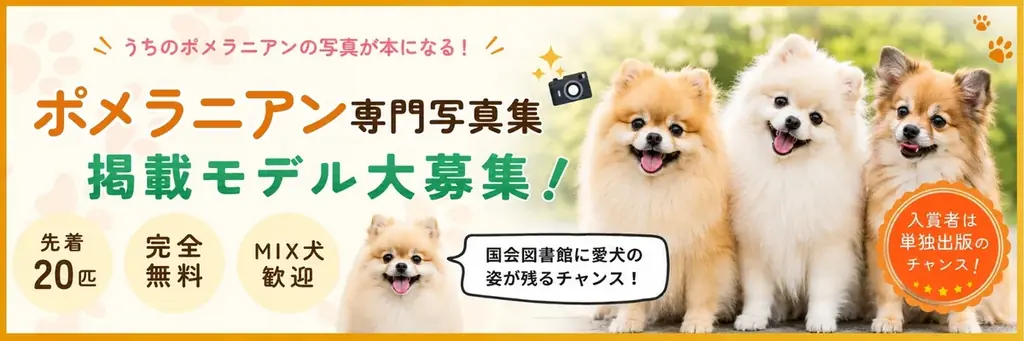 【期間限定】電子書籍版が無料で読める！ポメラニアンだらけ写真集（犬種別写真集シリーズ第3弾「ポメラニアンvol.002」）がKindleで期間限定の無料配信 画像 4