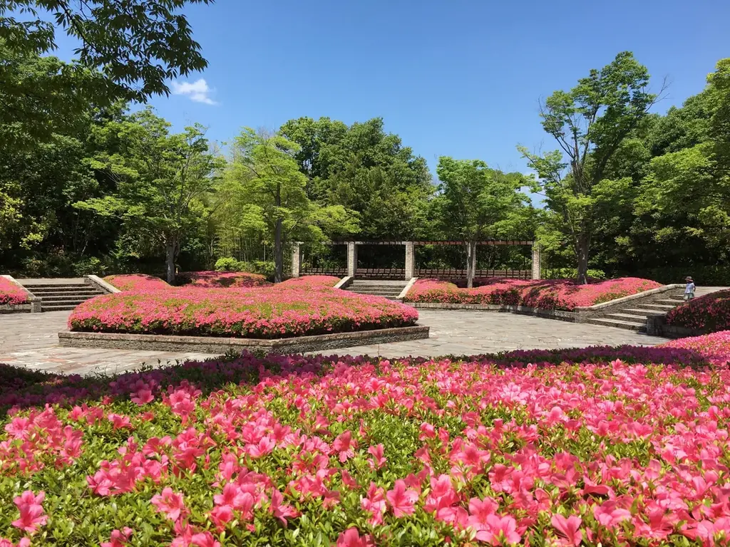 滋賀県営びわこ文化公園に、滋賀県内“初”出店となるベーカリーカフェ「パンとエスプレッソと」が2026年6月21日（日）グランドオープンします！ 画像 10