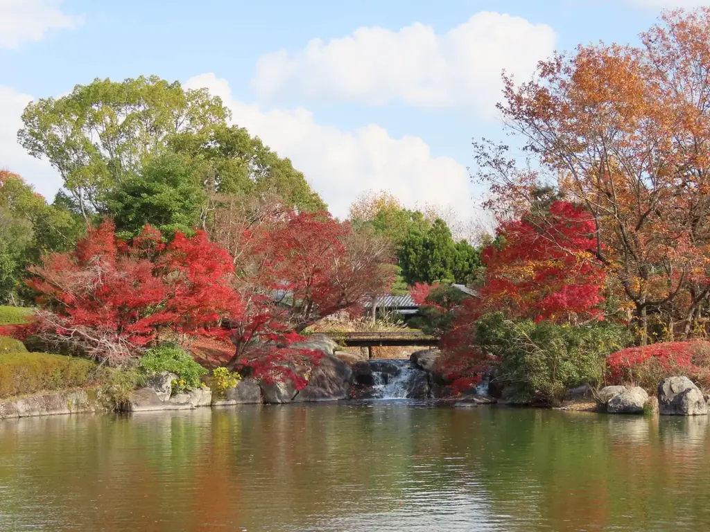 滋賀県営びわこ文化公園に、滋賀県内“初”出店となるベーカリーカフェ「パンとエスプレッソと」が2026年6月21日（日）グランドオープンします！ 画像 9