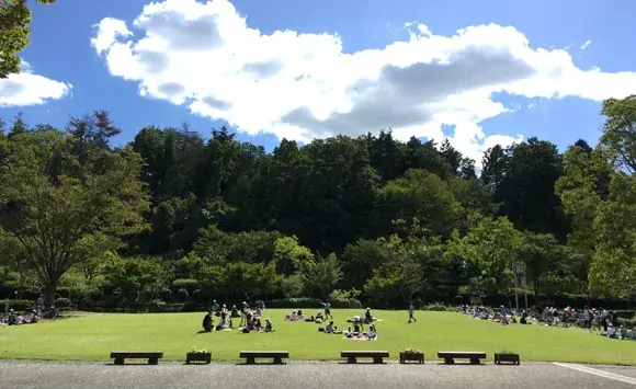 滋賀県営びわこ文化公園に、滋賀県内”初”出店となるベーカリーカフェ「パンとエスプレッソと」が、2026年6月21日(日)グランドオープンします！ 画像 3