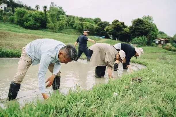 「地域まるごとホテル＠三浦半島」事業の葉山棚田エリアがオープンします！ 画像 10