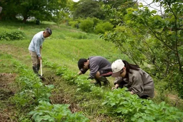 「地域まるごとホテル＠三浦半島」事業の葉山棚田エリアがオープンします！ 画像 12